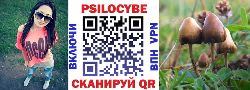 цена   площадка клад  ОМГ ОМГ вход  Галлюциногенные грибы Psilocybine cubensis  Медногорск 